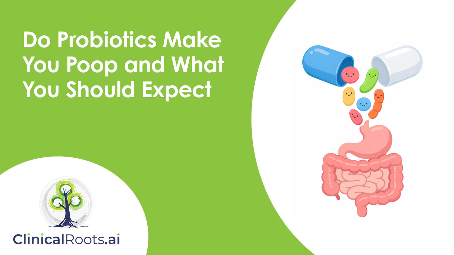 Do Probiotics Make You Poop and What You Should Expect