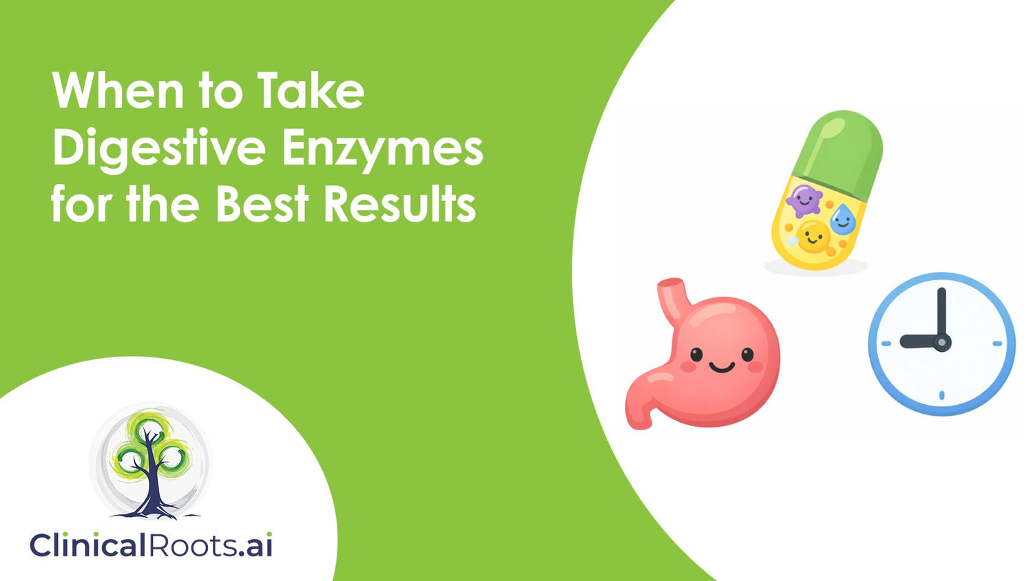 When to Take Digestive Enzymes for the Best Results