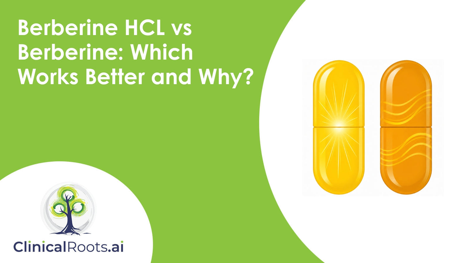 Berberine HCL vs Berberine: Which Works Better and Why?