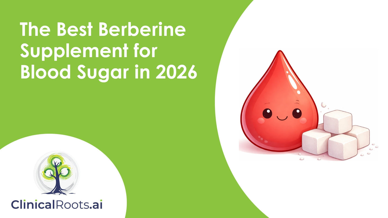 The Best Berberine Supplement for Blood Sugar in 2026