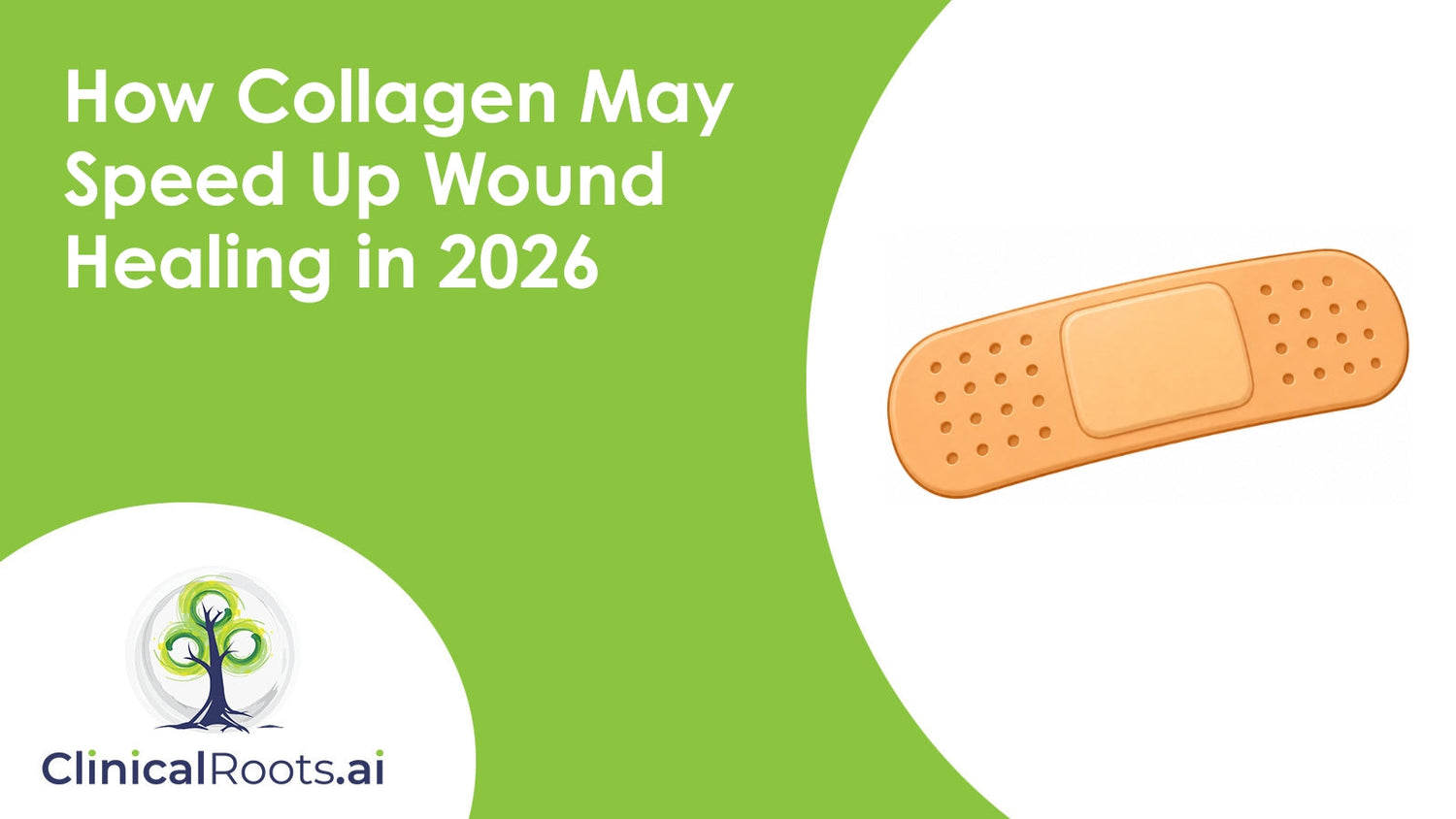 How Collagen May Speed Up Wound Healing in 2026
