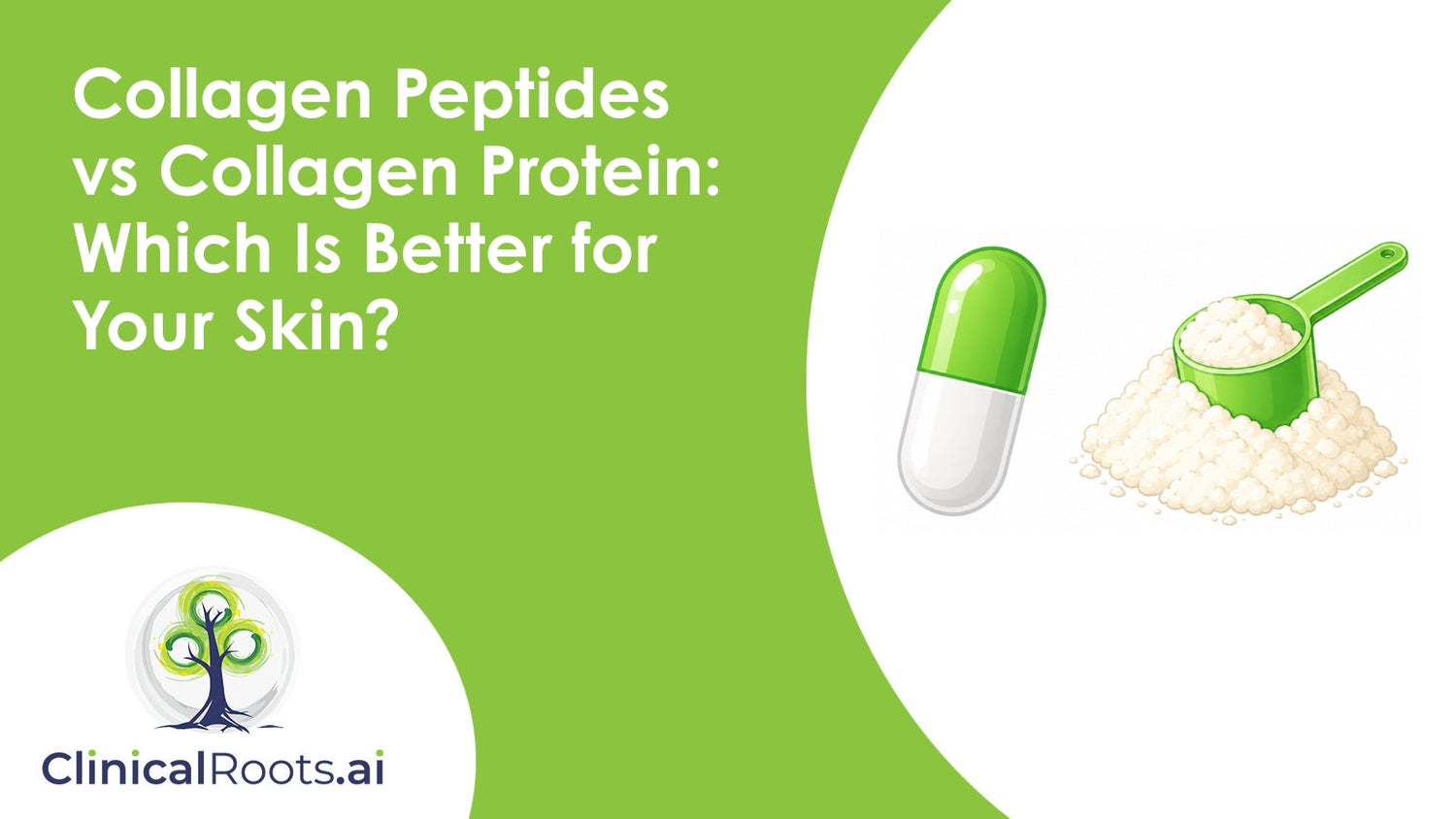 Collagen Peptides vs Collagen Protein: Which Is Better for Your Skin?