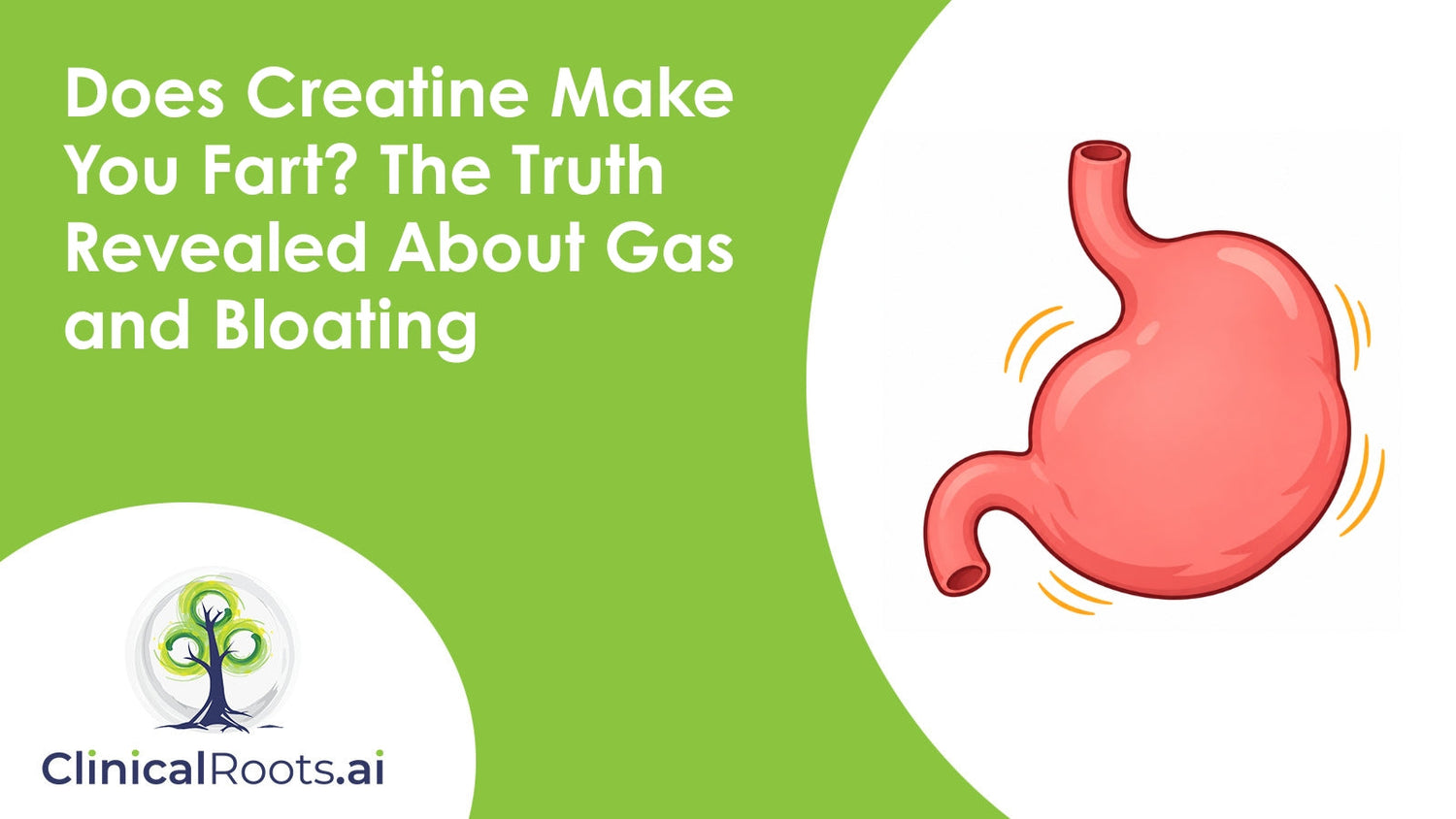 Does Creatine Make You Fart? The Truth Revealed About Gas and Bloating