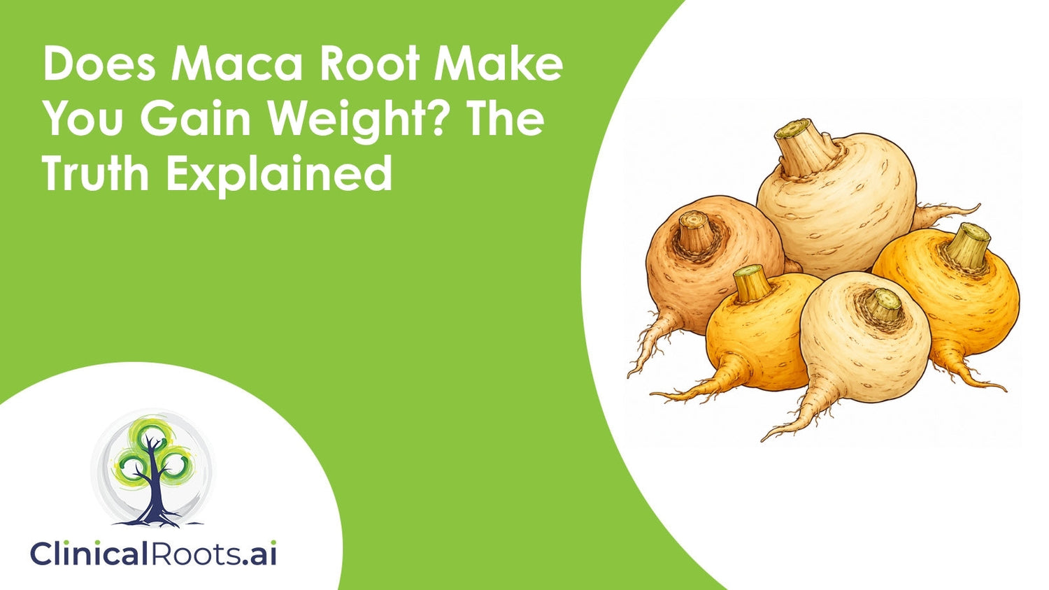 Does Maca Root Make You Gain Weight? The Truth Explained