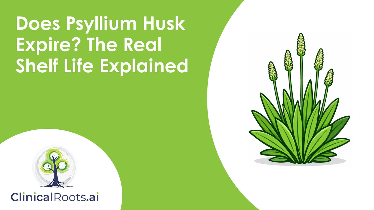 Does Psyllium Husk Expire? The Real Shelf Life Explained