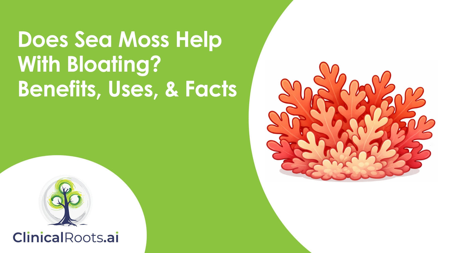 Does Sea Moss Help With Bloating? Benefits, Uses, & Facts