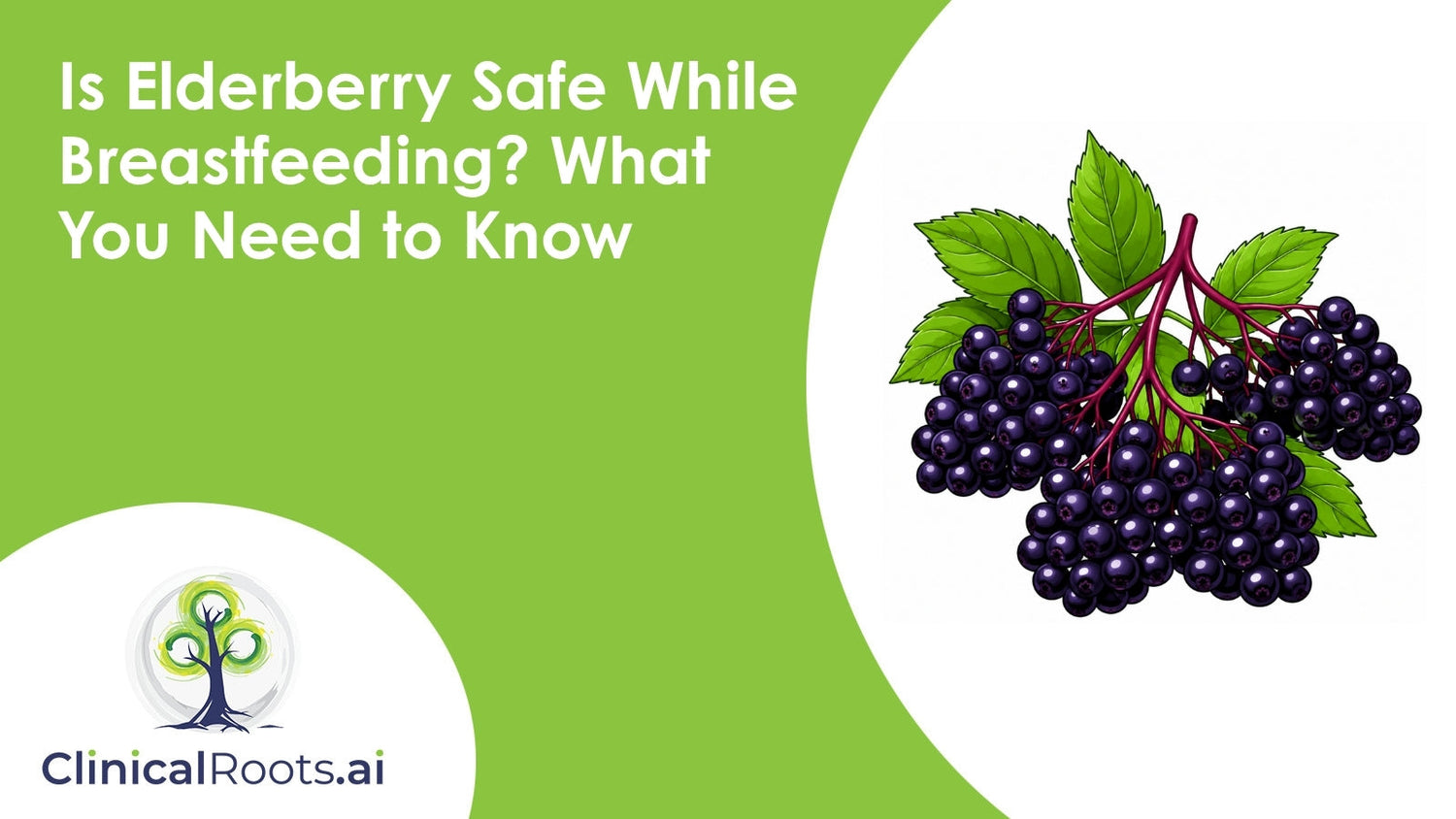 Is Elderberry Safe While Breastfeeding? What You Need to Know