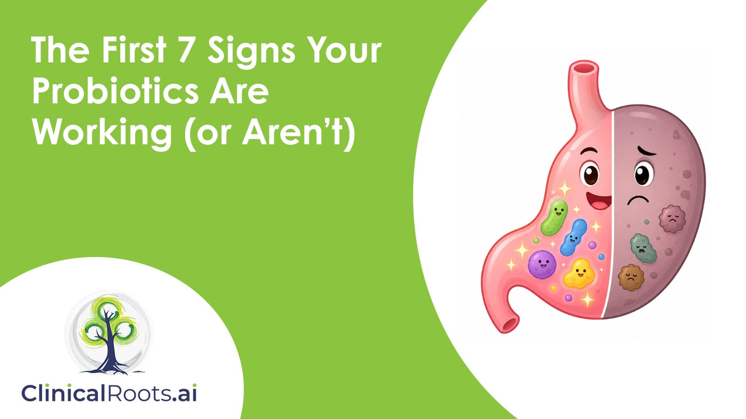 The First 7 Signs Your Probiotics Are Working (or Aren’t)