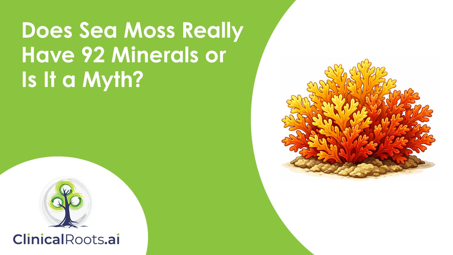 Does Sea Moss Really Have 92 Minerals or Is It a Myth?