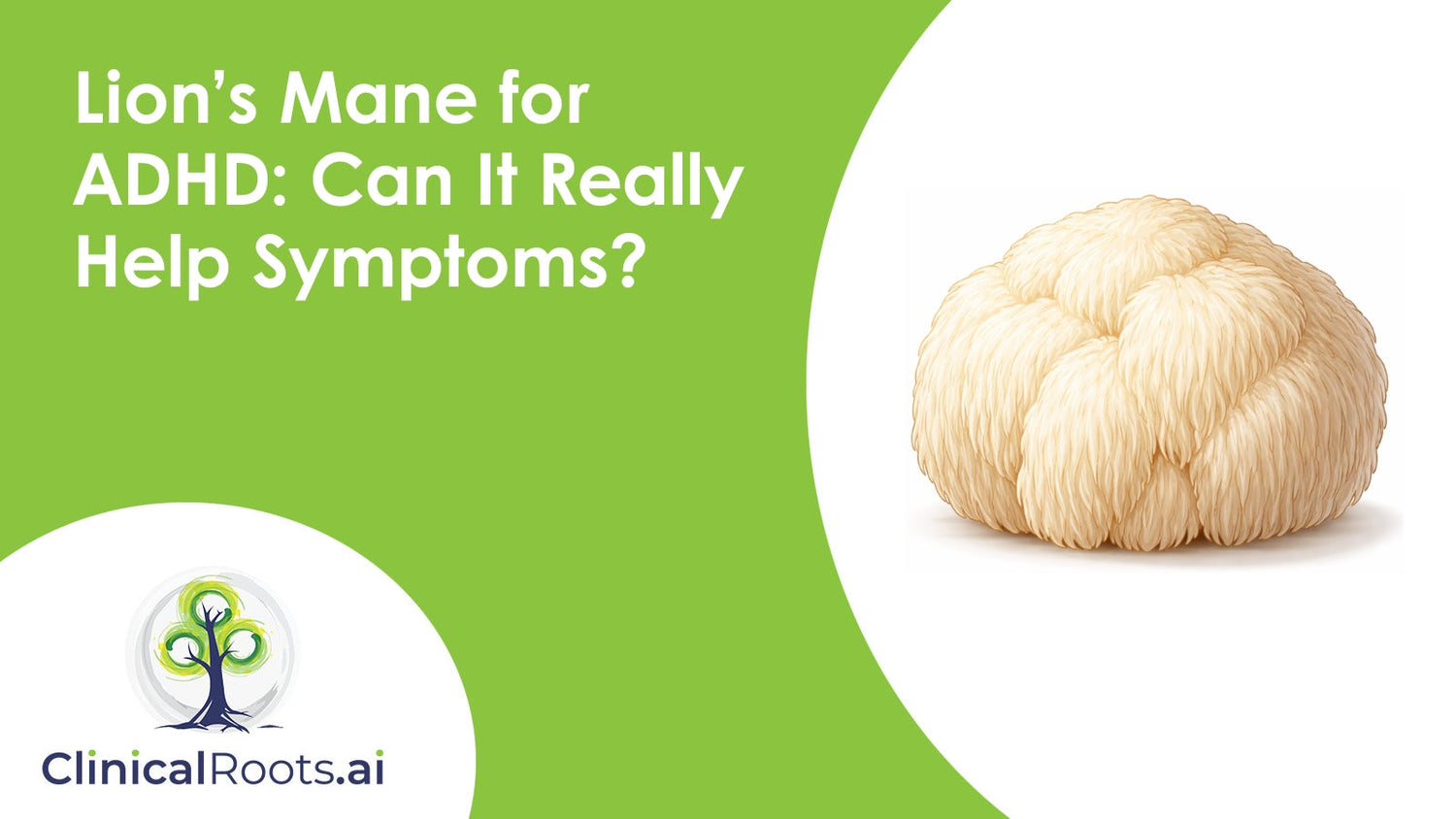 Lion’s Mane for ADHD: Can It Really Help Symptoms?