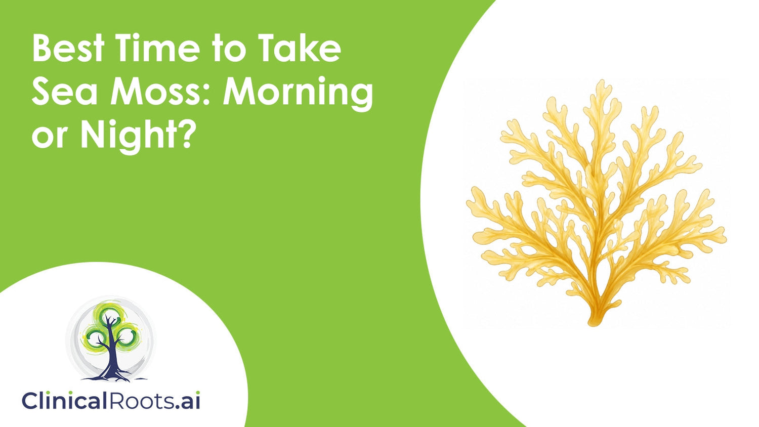 Best Time to Take Sea Moss: Morning or Night?