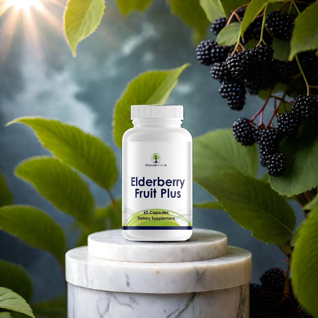 ElderBerry Fruit Plus