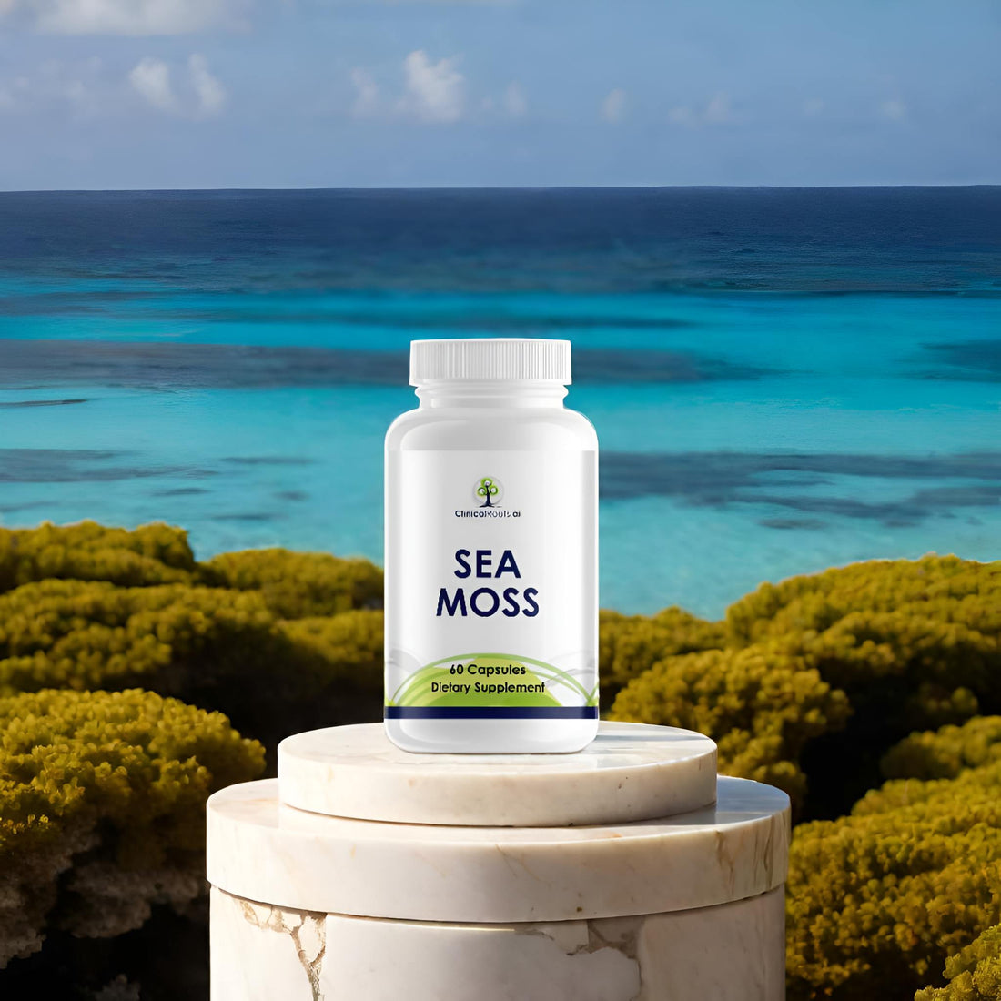 Sea Moss